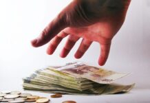 Kapříci vyplouvají na hladinu