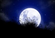 Stille Nacht