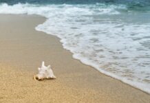 Podzimní dovolená v Turecku: Vydejte s k moři, za poznáním i do lázní