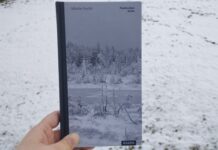 Naslouchat tichu: Kniha, která vás přivede zpět k přírodě a vlastnímu klidu