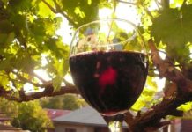 Čtení na neděli: Kdo si přeje novou železnou oponu?