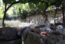 Čtení na neděli: Jak se (ne)kupuje dům II.