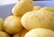 Ambrosia: kapr se šťouchanými brambory