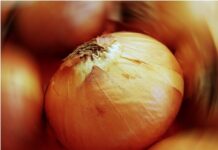 Chceme večeři! A hezky rychle!